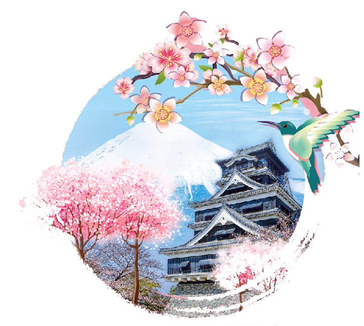Order Fast IPTV Service in Japan